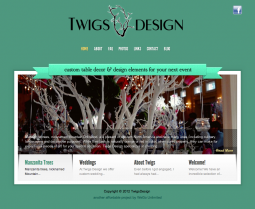 Web Slider